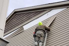 Best Custom Trim and Detailing for Siding  in Monticello, AR